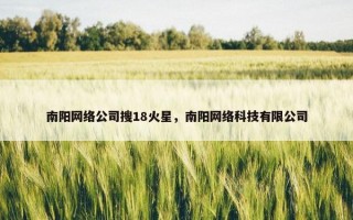 南阳网络公司搜18火星，南阳网络科技有限公司