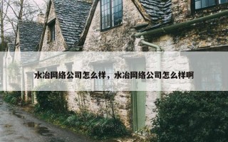 水冶网络公司怎么样，水冶网络公司怎么样啊