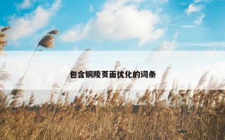 包含铜陵页面优化的词条 包含铜陵页面优化的词条