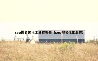 seo排名优化工具有哪些（seo排名优化怎样）