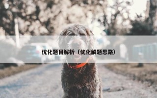 优化题目解析（优化解题思路）
