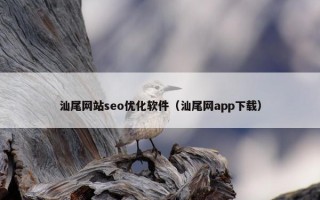 汕尾网站seo优化软件（汕尾网app下载）