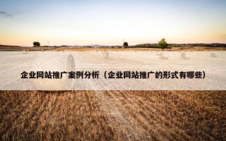 企业网站推广案例分析（企业网站推广的形式有哪些）