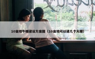 10亩地牛棚建设方案图（10亩地可以建几个大棚）
