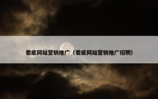 娄底网站营销推广（娄底网站营销推广招聘）