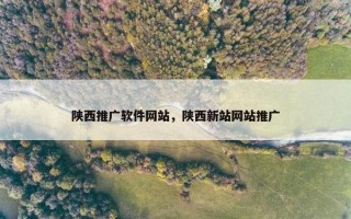 陕西推广软件网站，陕西新站网站推广