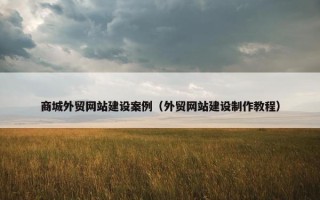 商城外贸网站建设案例（外贸网站建设制作教程）