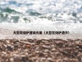 大型焚烧炉建设方案（大型焚烧炉造价）