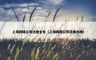 上海网络公司注册全包（上海网络公司资质办理）