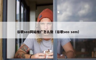 谷歌seo网站推广怎么做（谷歌seo sem）