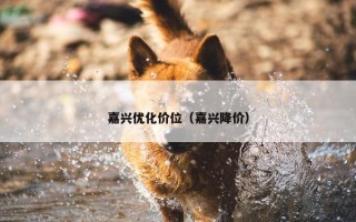 嘉兴优化价位（嘉兴降价）
