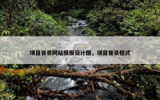 项目背景网站模板设计图，项目背景格式