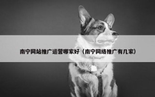 南宁网站推广运营哪家好（南宁网络推广有几家）