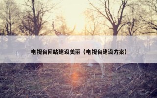 电视台网站建设美丽（电视台建设方案）