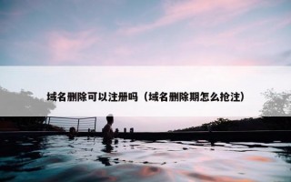 域名删除可以注册吗（域名删除期怎么抢注）