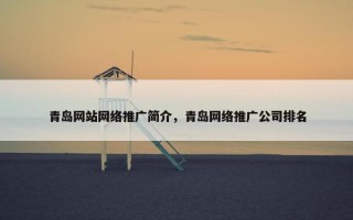 青岛网站网络推广简介，青岛网络推广公司排名