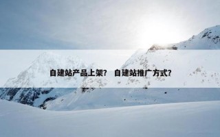 自建站产品上架？ 自建站推广方式？