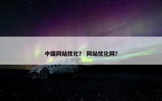 中国网站优化？ 网站优化网？