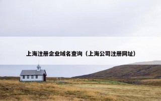 上海注册企业域名查询（上海公司注册网址）