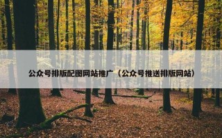 公众号排版配图网站推广（公众号推送排版网站）