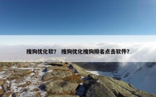 搜狗优化软？ 搜狗优化搜狗排名点击软件？