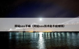 网站seo干嘛（网站seo技术能不能赚钱）