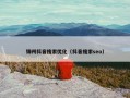 锦州抖音搜索优化（抖音搜索seo）