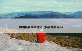 锦州抖音搜索优化（抖音搜索seo）