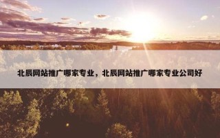 北辰网站推广哪家专业，北辰网站推广哪家专业公司好