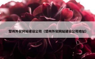 楚州外贸网站建设公司（楚州外贸网站建设公司地址）