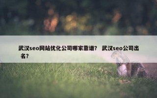 武汉seo网站优化公司哪家靠谱？ 武汉seo公司出 名？