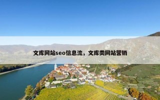 文库网站seo信息流，文库类网站营销