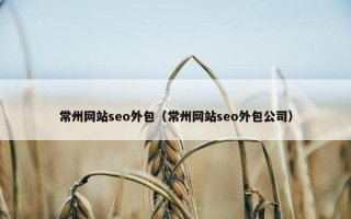常州网站seo外包（常州网站seo外包公司）