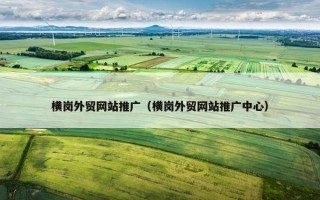 横岗外贸网站推广（横岗外贸网站推广中心）