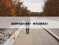 岳阳神马优化收费？ 神马引擎优化？