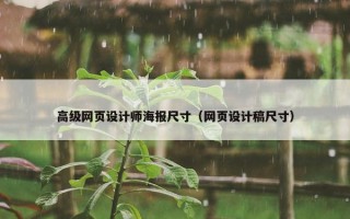 高级网页设计师海报尺寸(网页设计稿尺寸) 高级网页设计师海报尺寸(网页设计稿尺寸)