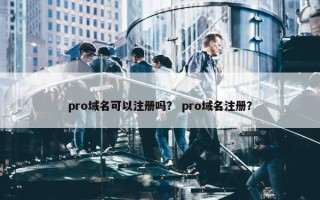 pro域名可以注册吗？ pro域名注册？