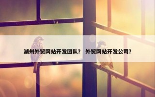 湖州外贸网站开发团队? 外贸网站开发公司? 湖州外贸网站开发团队? 外贸网站开发公司?