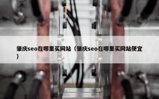 肇庆seo在哪里买网站（肇庆seo在哪里买网站便宜）