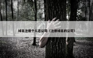 域名注册个人还公司（注册域名的公司）