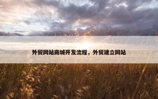 外贸网站商城开发流程，外贸建立网站