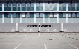 单词优化（全词优化）