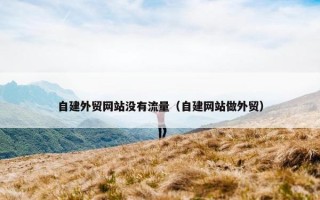 自建外贸网站没有流量（自建网站做外贸）