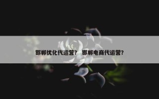 邯郸优化代运营？ 邯郸电商代运营？