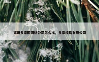 郑州多豪网网络公司怎么样，多豪模具有限公司