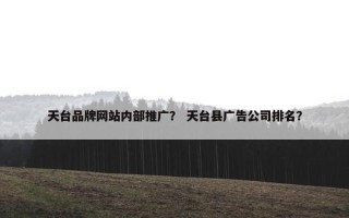 天台品牌网站内部推广？ 天台县广告公司排名？