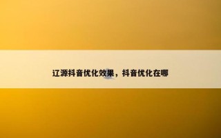 辽源抖音优化效果，抖音优化在哪
