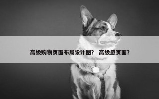 高级购物页面布局设计图？ 高级感页面？