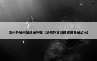 沧州外贸网站建设补贴（沧州外贸网站建设补贴公示）