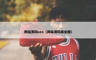 网站源码seo（网站源码商业版）